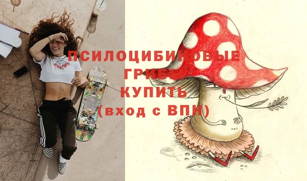 молекула духа Алексин