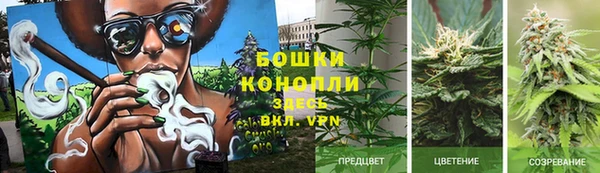 прущий лед Абаза
